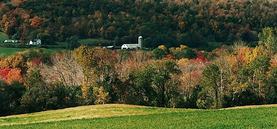 dutchessfarmland